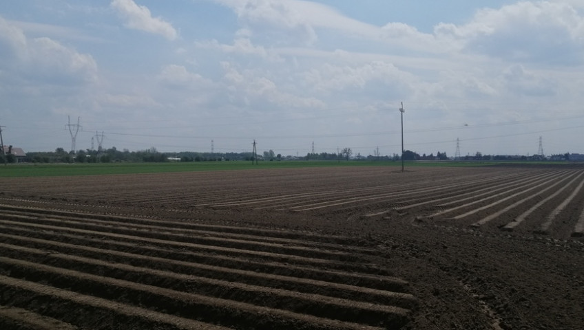 Działka Sprzedaż Topolin Bolesława Chrobrego